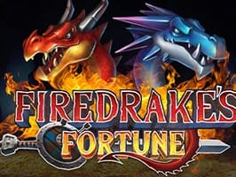 Firedrakes Fortune Gamble Feature screenshot